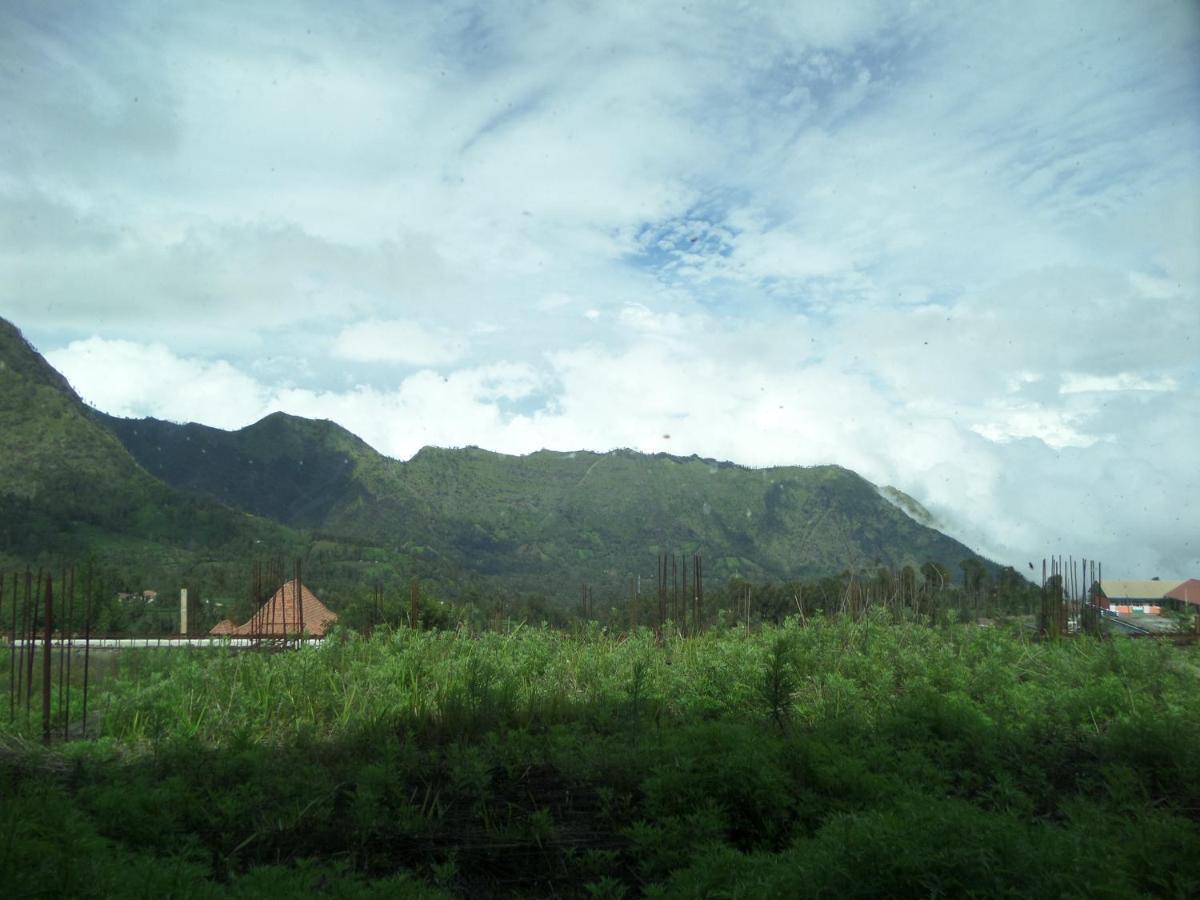 Bromo Permai 1 Hotell Eksteriør bilde