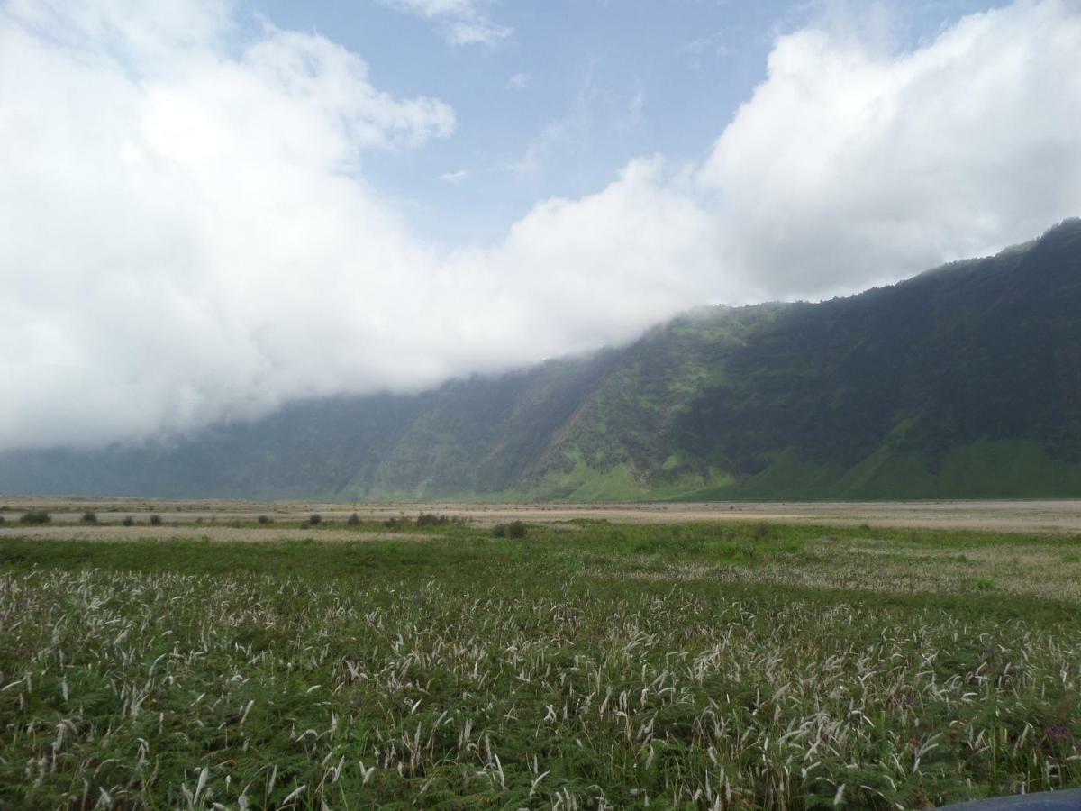 Bromo Permai 1 Hotell Eksteriør bilde