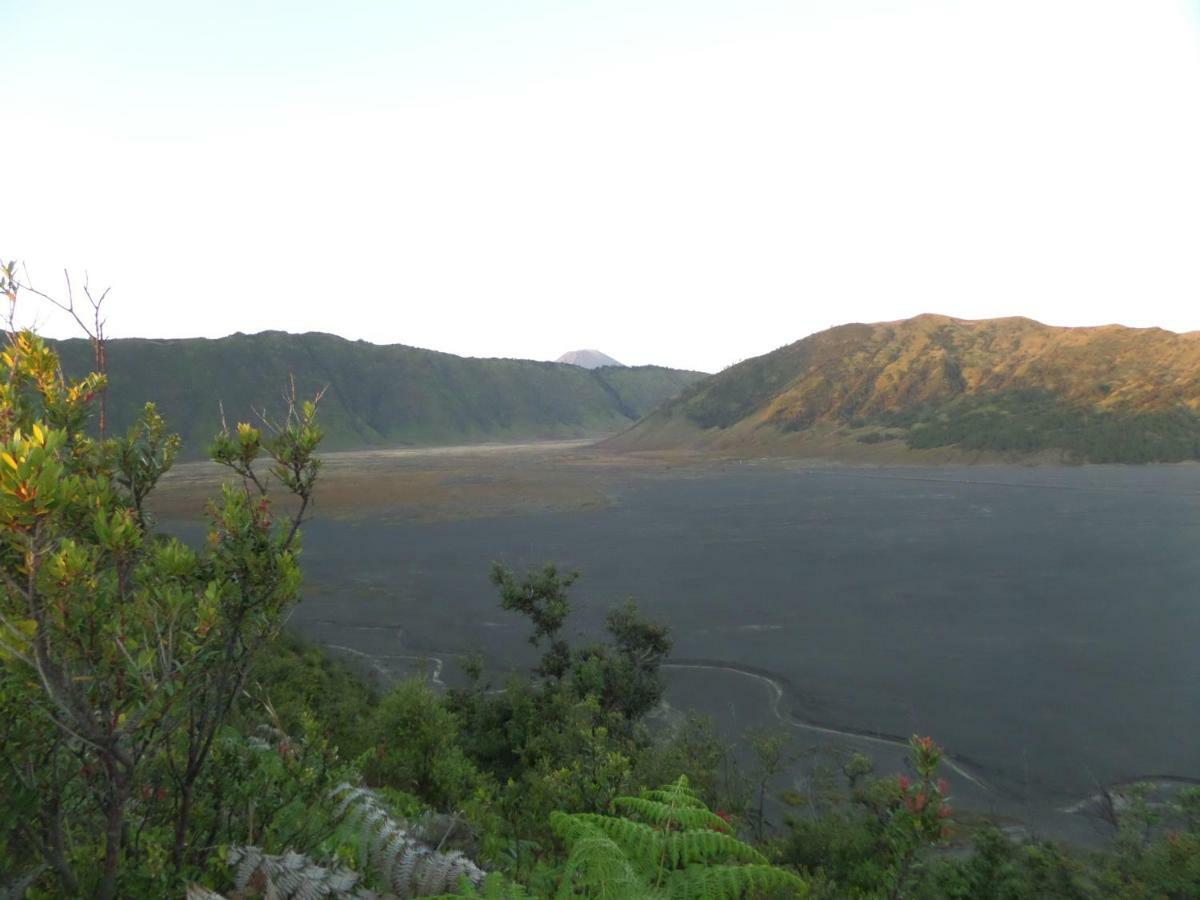 Bromo Permai 1 Hotell Eksteriør bilde