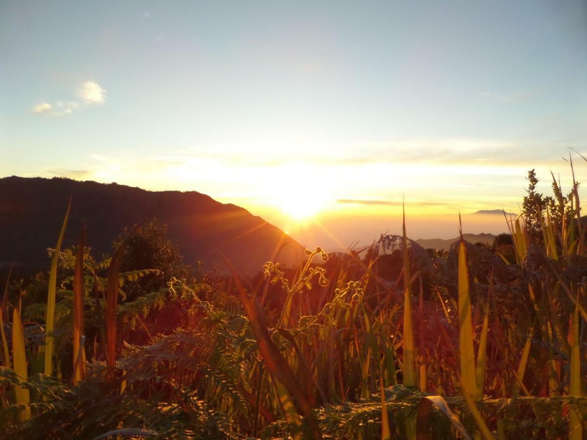 Bromo Permai 1 Hotell Eksteriør bilde