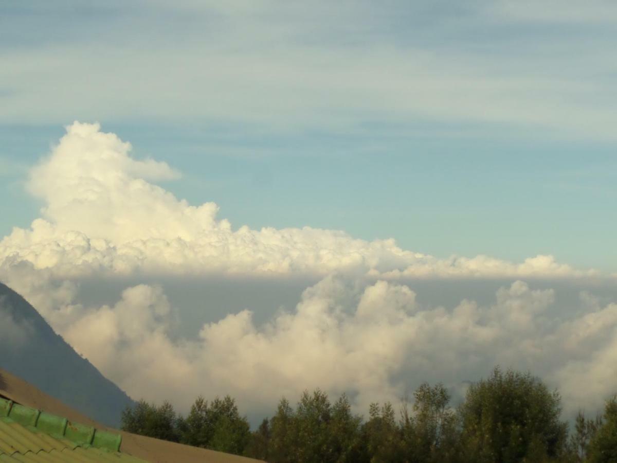 Bromo Permai 1 Hotell Eksteriør bilde